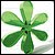   (Actions)  Photoshop