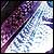 Photoshop  Illustrator:    
