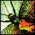 Photoshop  Illustrator:    