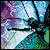 Photoshop  Illustrator:    