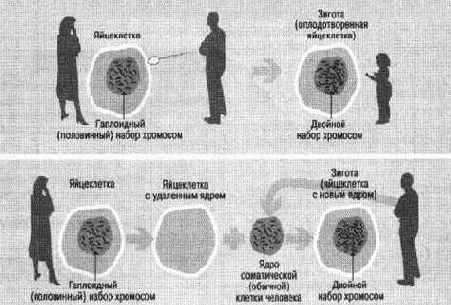 История информационных технологий