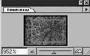   (Navigator)