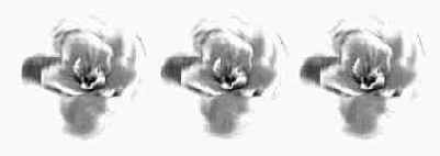    (Radial Blur)