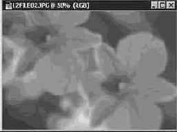     (Gaussian Blur)