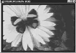   (Wind)