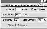   Magnetic Lasso ( )